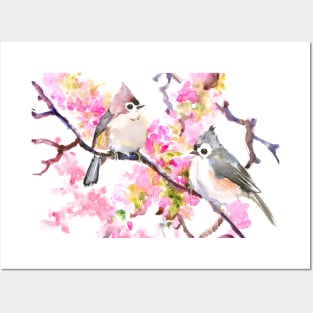 Titmice and Cherry Blossom Posters and Art